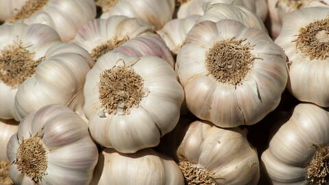 Garlic Planting Secrets: Picking Seed & Avoiding Common Mistakes